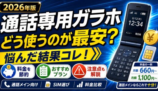 通話専用ガラホをいかにお得に使うか悩んだ結果