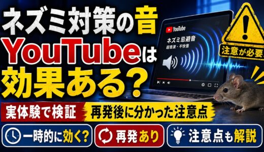ネズミ対策の音・YouTubeは効果ある？実体験と再発後に分かった注意点