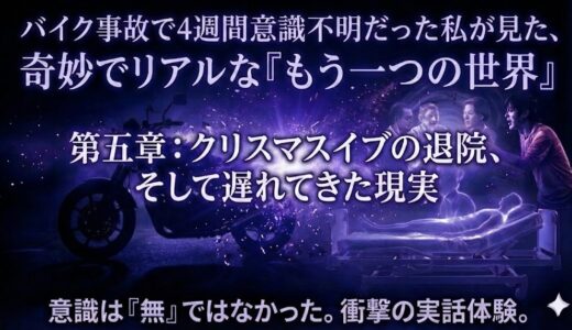 4週間意識不明でみた奇妙でリアルな世界 第五章：クリスマスイブの退院、そして遅れてきた現実